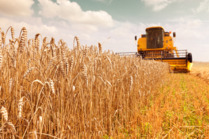 R&D_credits_important_for_the_agriculture_industry