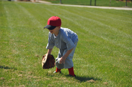 baseball_to_tax_incentives_its_important