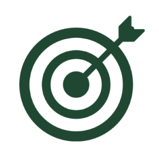 Accuracy Icon-4